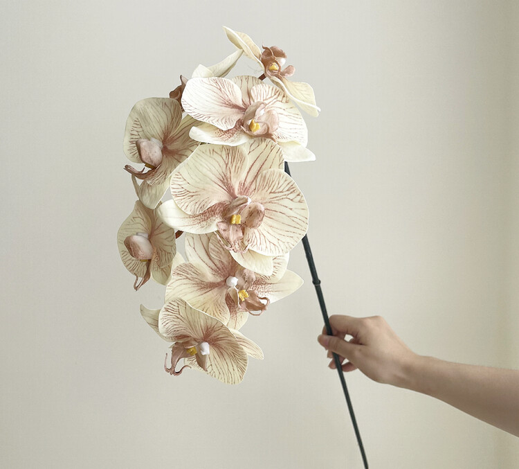Orchid Fresh Touch Luxe 8H Latte