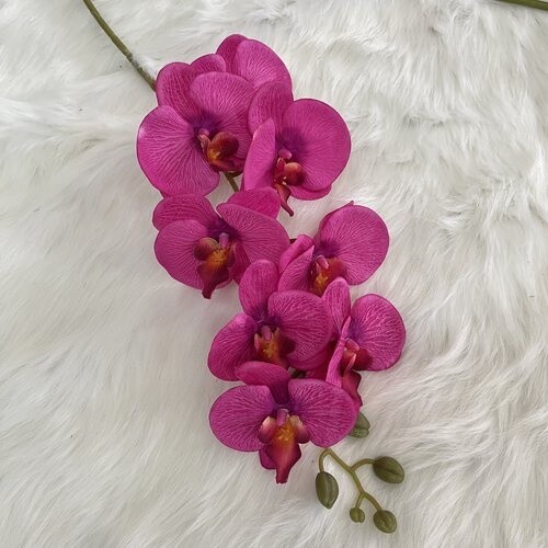 Orchid Hot Pink 8H 90cmL