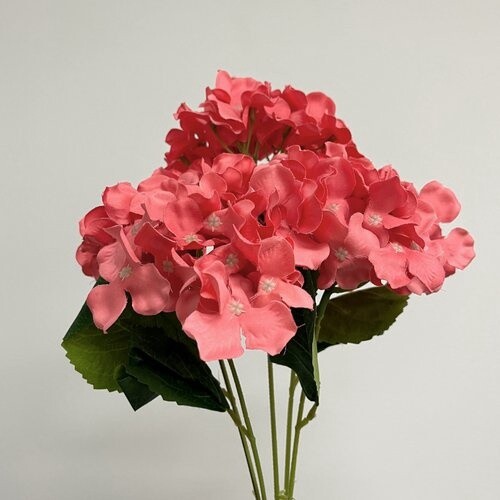 Hydrangea Bunch 25cmD Coral