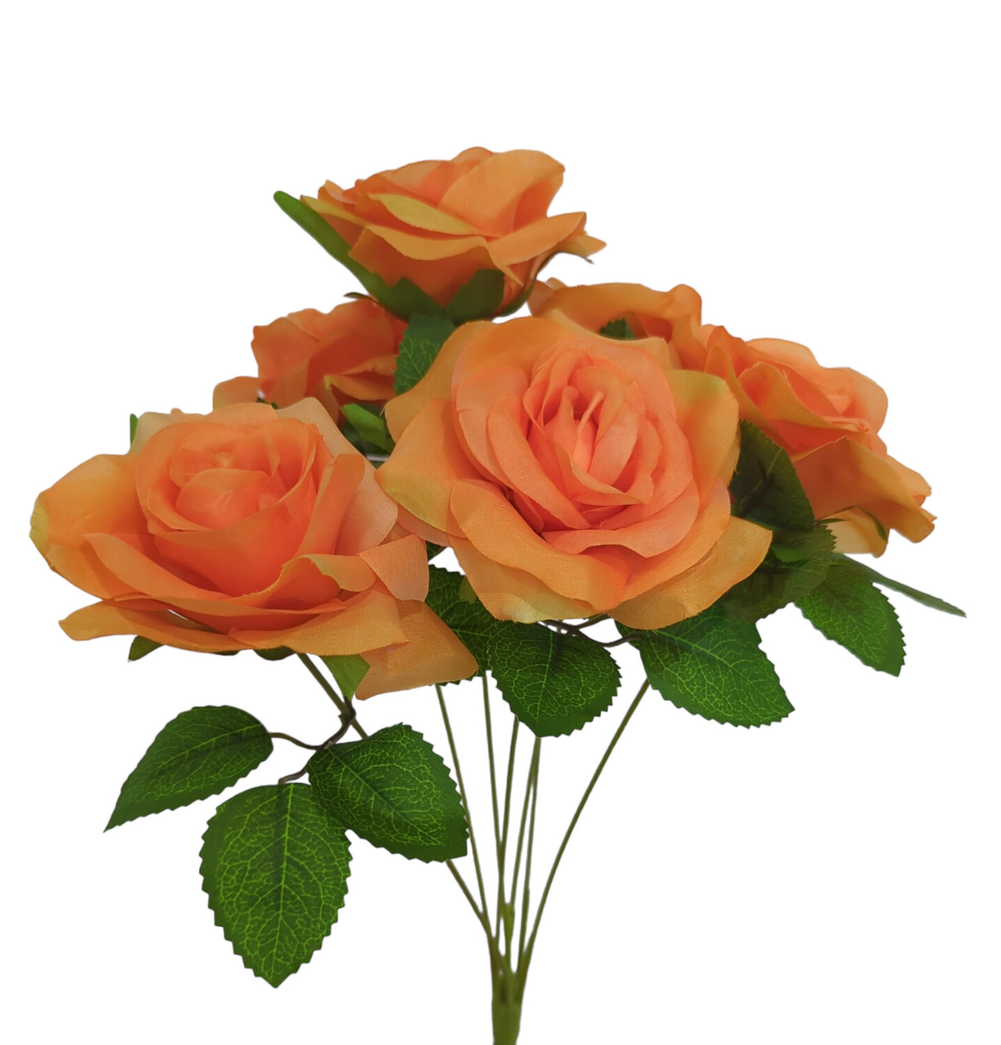 Rose Menta Bunch 7H Orange