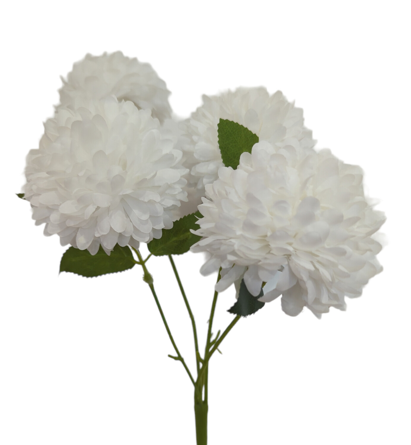 Pom Pom Snow White 10cmD