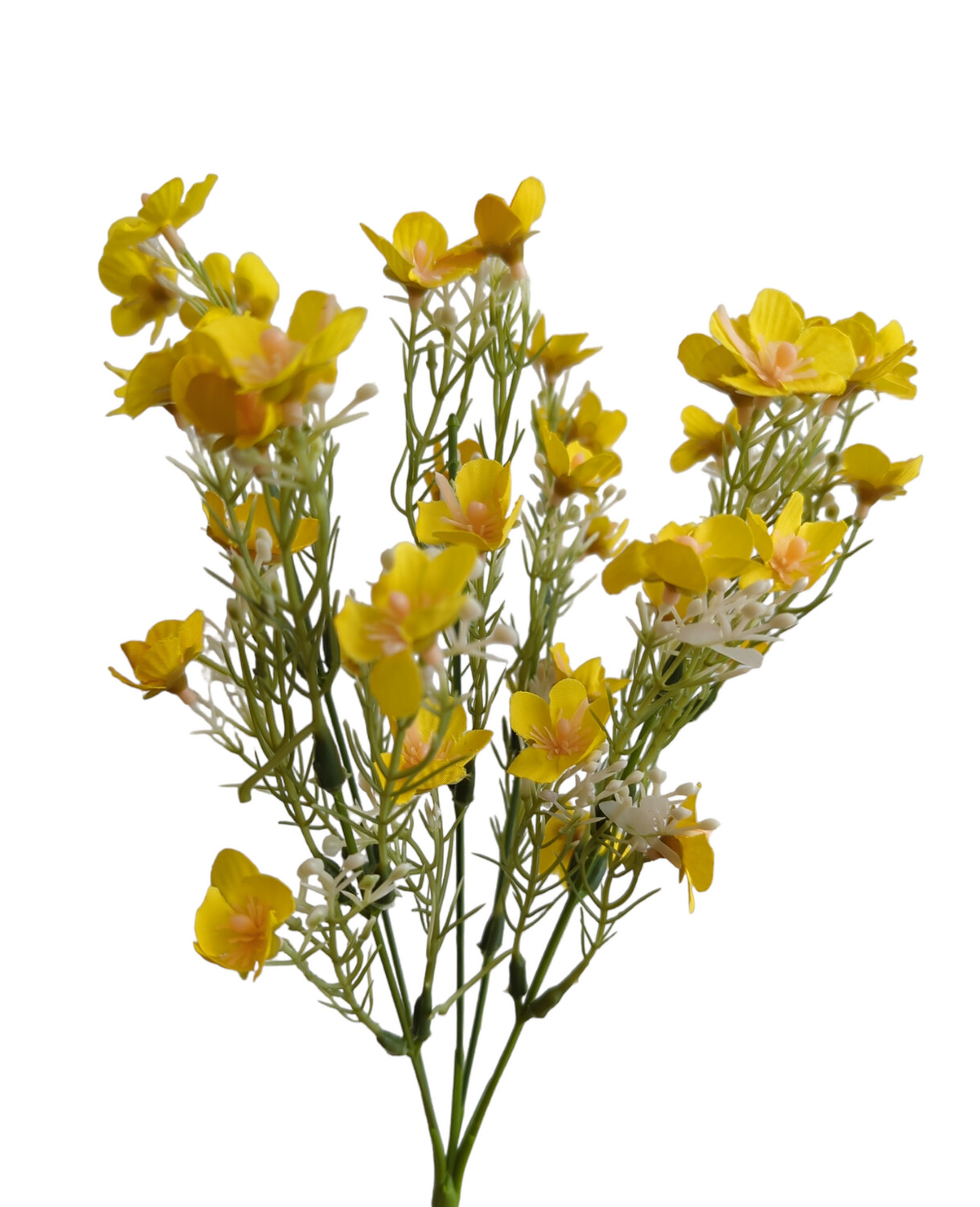 Daisy Short Bunch Yellow 6 Stems