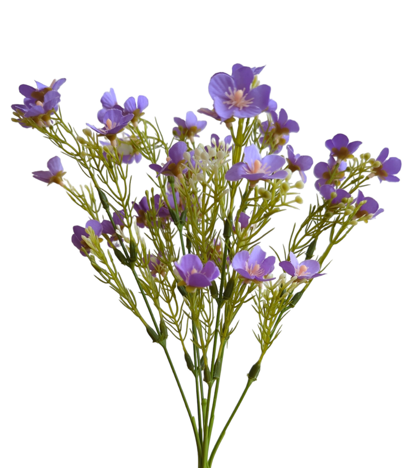 Daisy Short Bunch Purple 6 Stems