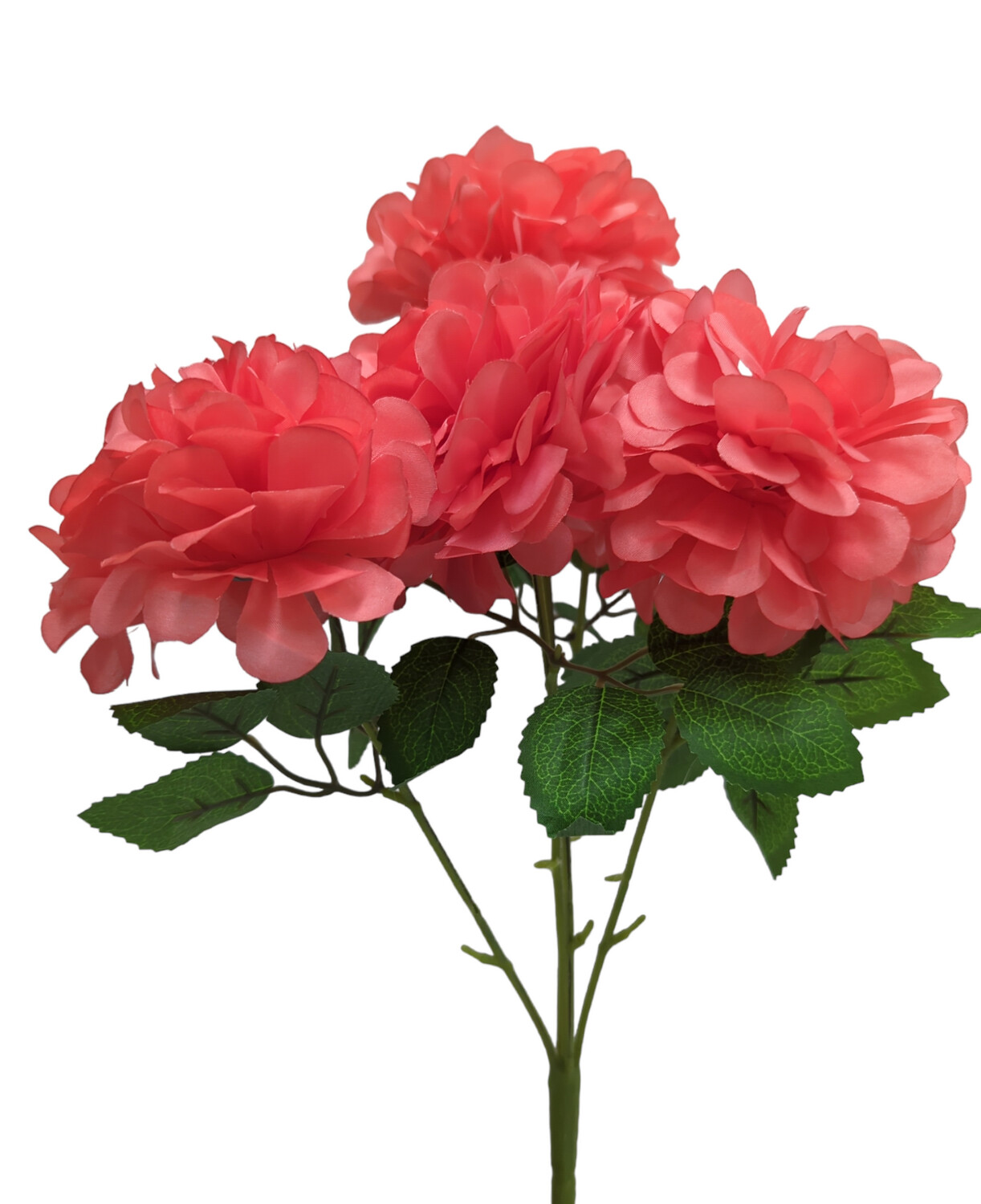 Chrysanthemum Ball Bunch 5H Bright Coral