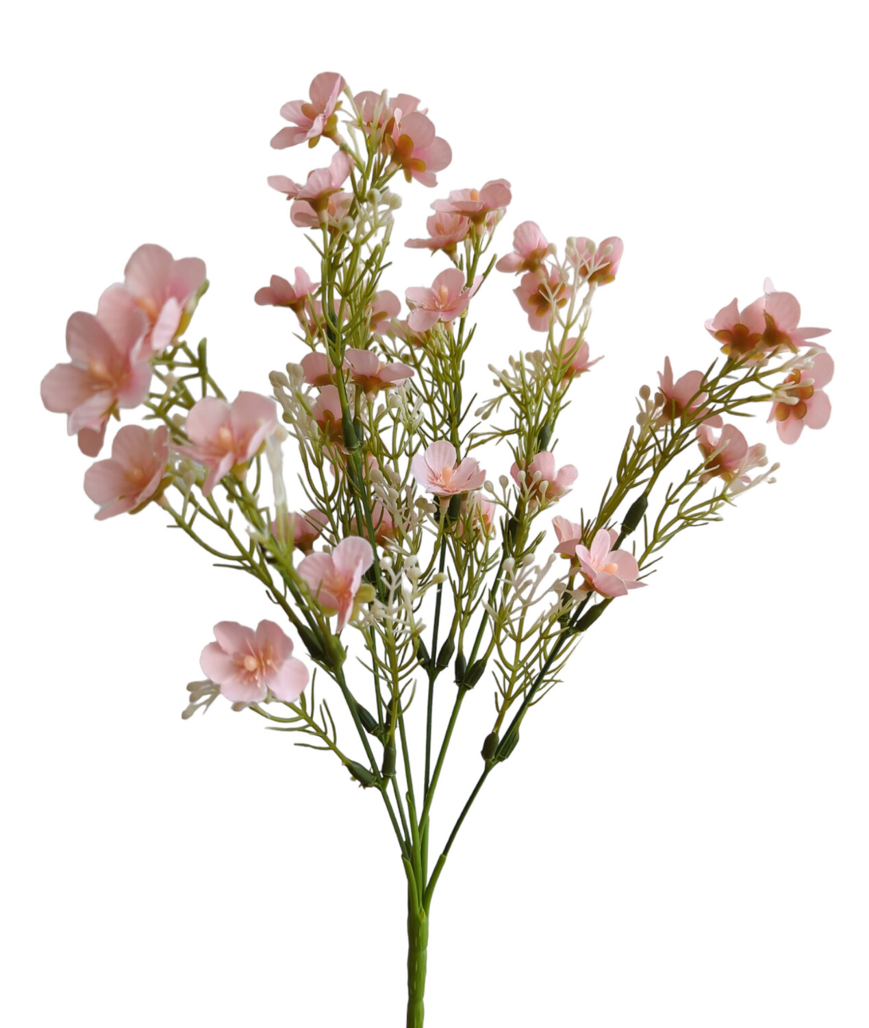 Daisy Short Bunch Pink 6 Stems