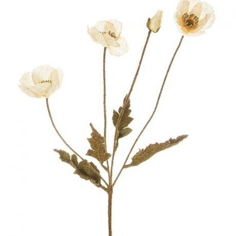 Autumn Poppy Bush Light Brown 60cmL