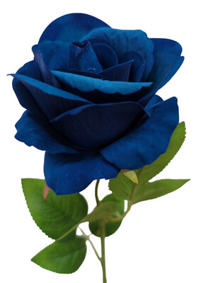 Rose Dark Blue Velvet 50cmL