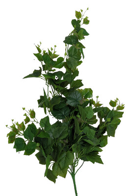 Leaf Hanging Bush Grape 105cmL