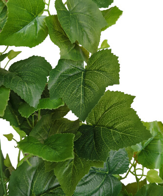 Leaf Hanging Bush Grape 105cmL