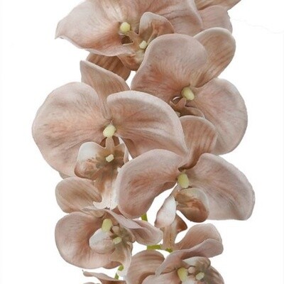 Orchid Dyed Nude 87cmL