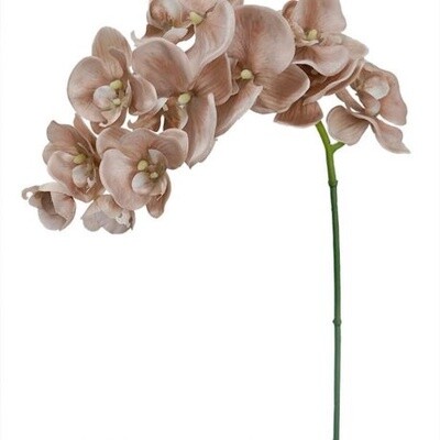 Orchid Dyed Nude 87cmL