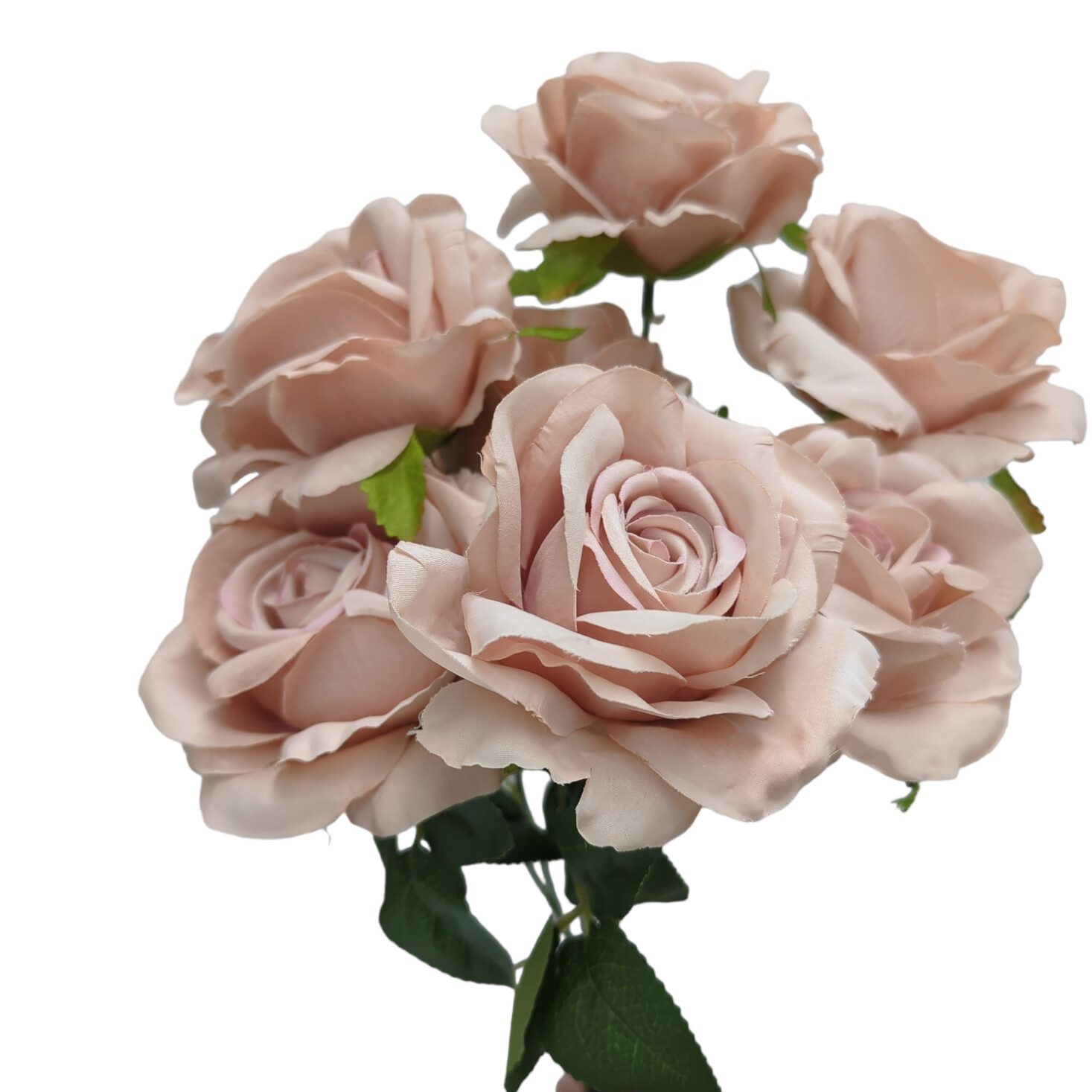 Rose Menta Bunch 7H Nude