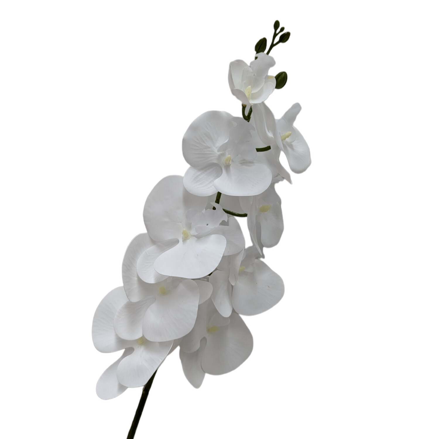 Orchid White 95cmL