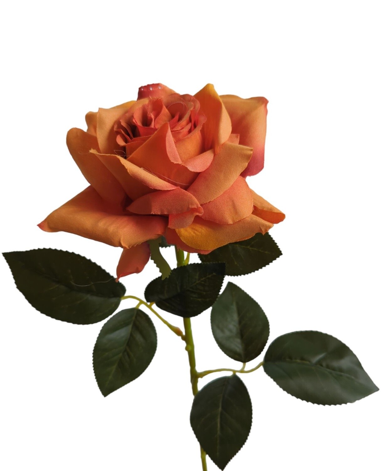 Rose Pointed Stem Orange 74cmL
