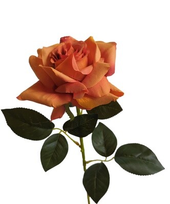 Rose Pointed Stem Orange 74cmL