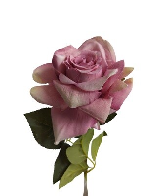 Rose Pointed Stem Dusty Magenta 74cmL
