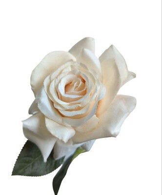 Rose Pointed Stem Champagne 74cmL