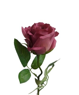 Rose Bud Mauve 53cmL