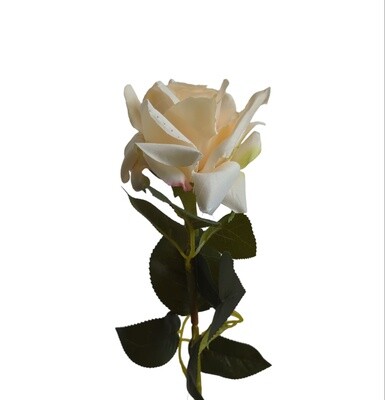 Rose Pointed Stem Champagne 74cmL