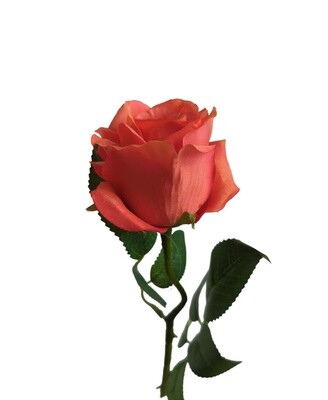 Rose Bud Orange 53cmL
