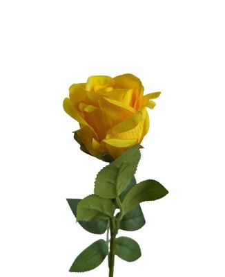 Rose Bud Yellow 53cmL