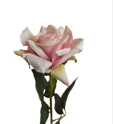 Rose Pointed Stem Mauve Pink 74cmL