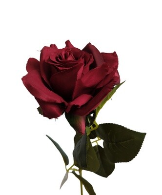 Rose Pointed Stem Red 74cmL