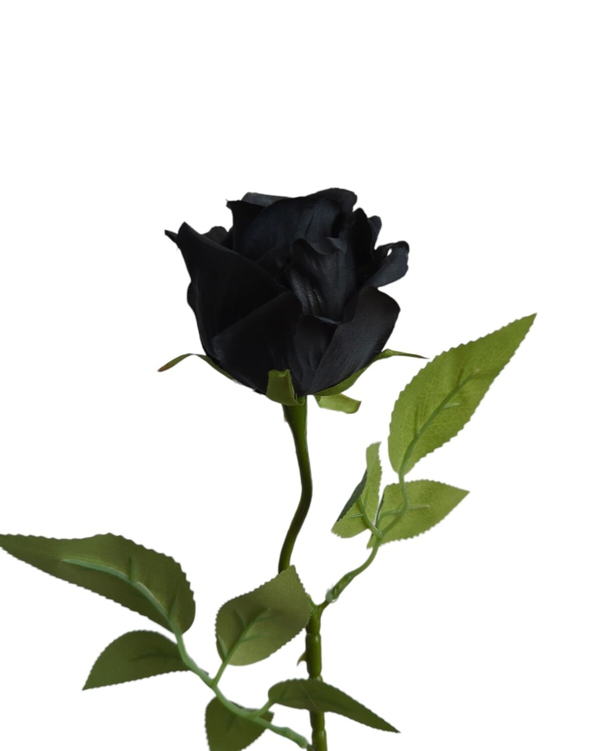 Rose Bud Black 53cmL