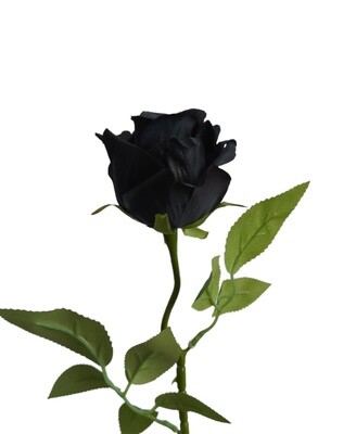 Rose Bud Black 53cmL