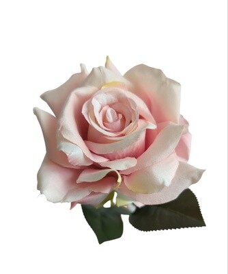 Rose Pointed Stem Mauve Pink 74cmL