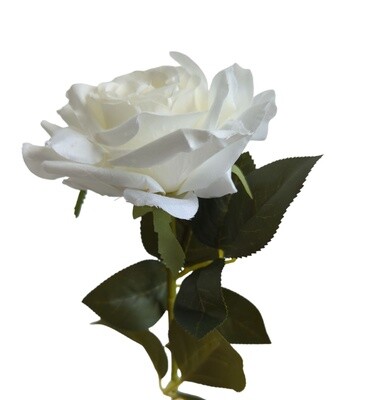 Rose Pointed Stem White 74cmL