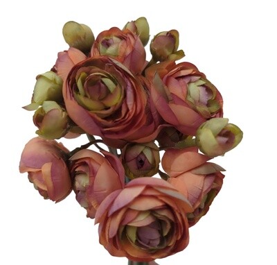 Ranunculus Bundle Latte 28cmL