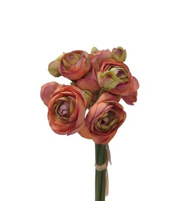 Ranunculus Bundle Latte 28cmL
