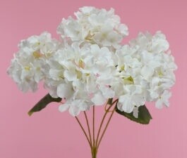 Hydrangea Bush 5H White 45cm