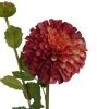 Dhalia Stem Pink 80cmL