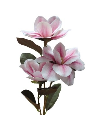 Magnolia Stem Pink 82cmL
