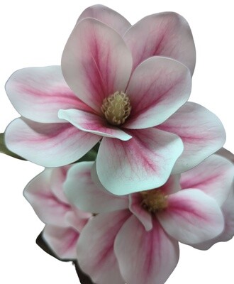 Magnolia Stem Pink 82cmL