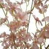 Cherry Blossom Spray Pink 117cmL