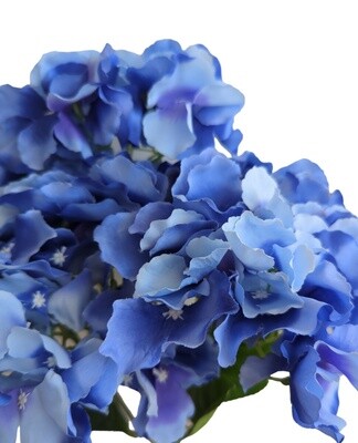 Hydrangea Galaxy Blue 50cmL