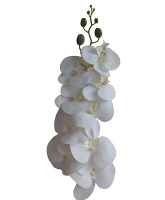 Orchid White 85cmL