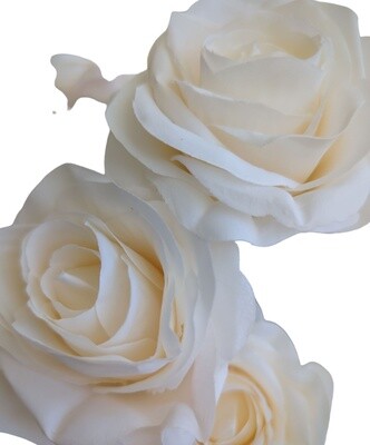 Rose Bunch 10H Champagne 45cmL