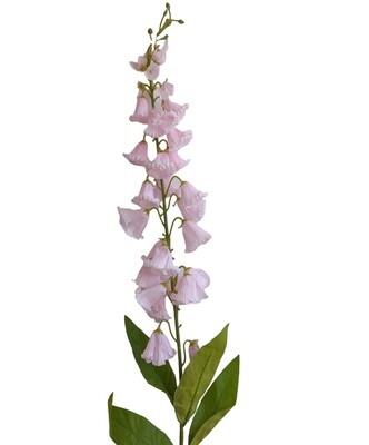 Canterbury Bells Pink 95cmL