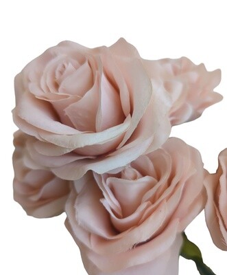 Rose Bunch Blush 9H 45cmL