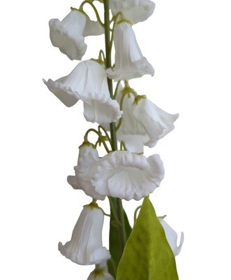 Canterbury Bells White 95cmL