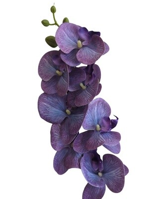 Orchid RT Purple-Blue 85cmL