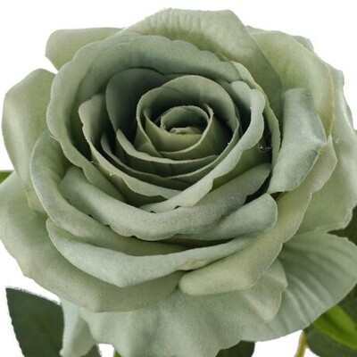 Rose Velvet Green 54cmL