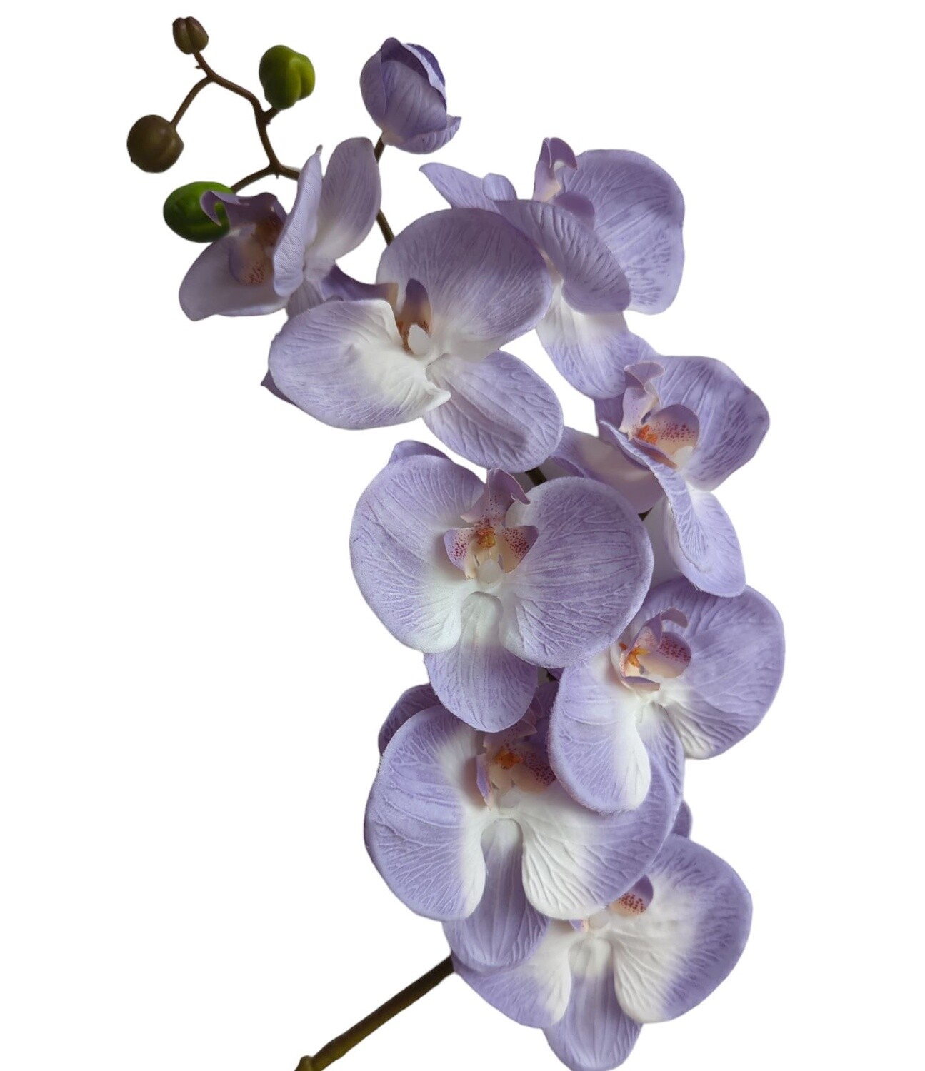 Orchid Lilac 85cmL