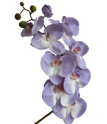 Orchid Lilac 85cmL