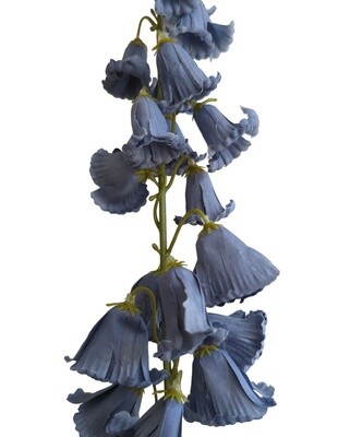 Canterbury Bells Blue 95cmL