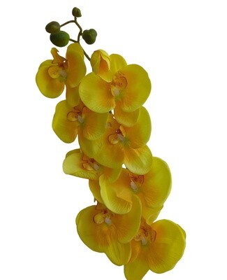 Orchid Yellow 85cmL